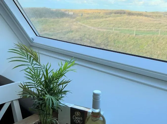 Moana * 海边的艾格蒙特