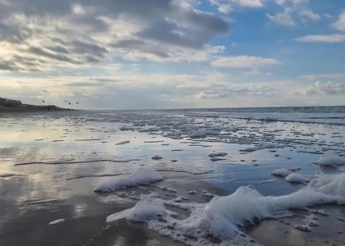 Appartamento Moana Egmond aan Zee